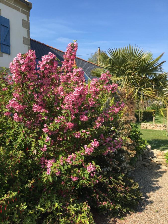 La Ferme De Kerivoas Bed & Breakfast Audierne Eksteriør bilde